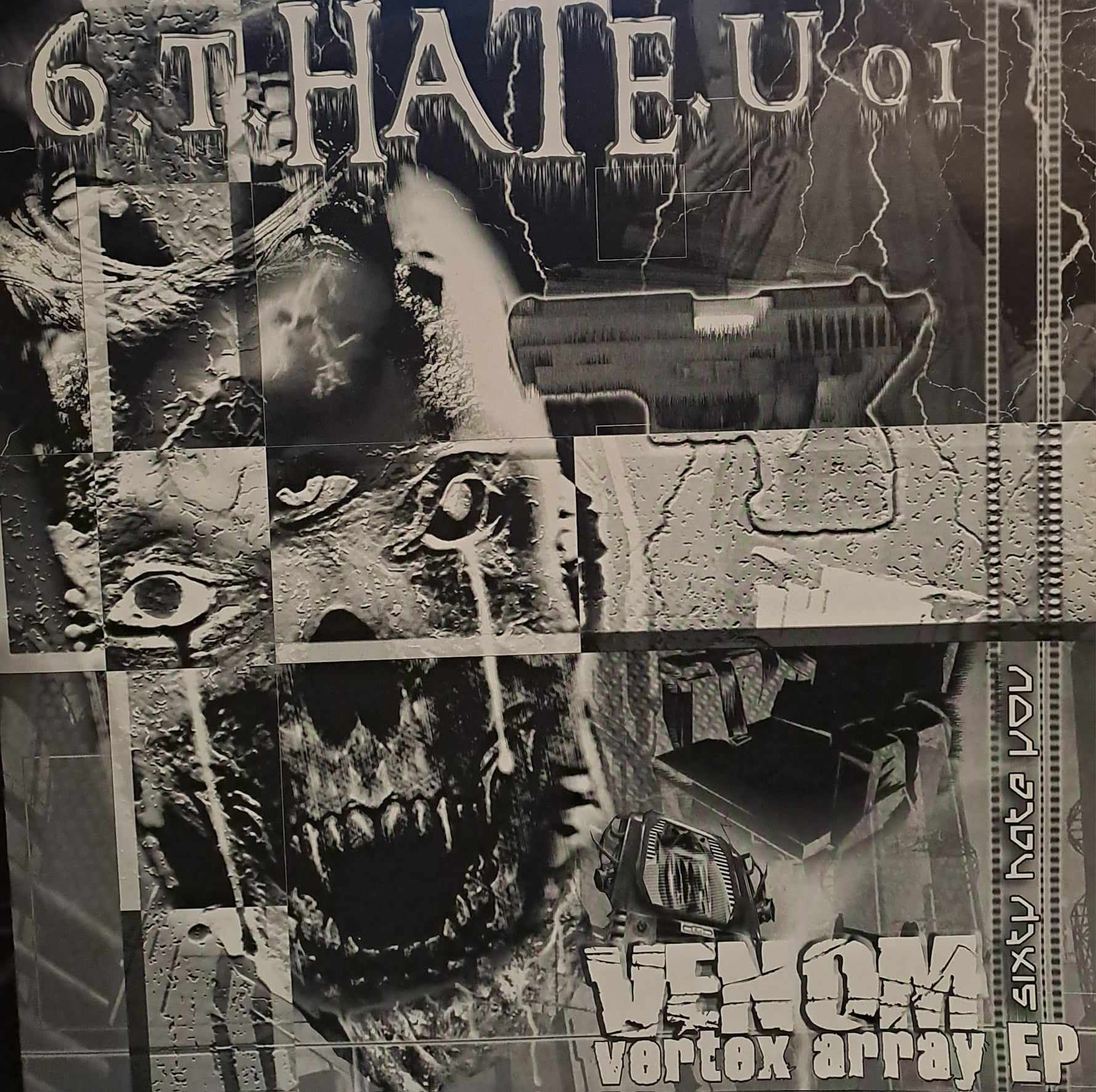 6.T.Hate.U 01 - vinyle hardcore